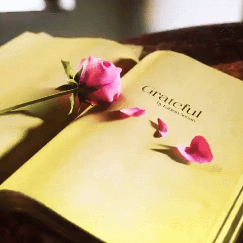 ezgif-2e6559a41d2faf